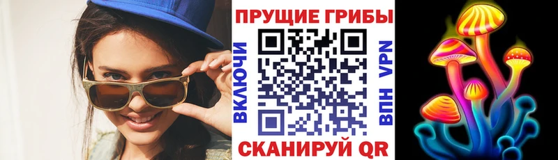 Галлюциногенные грибы GOLDEN TEACHER  Узловая 
